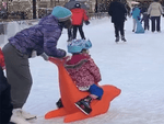 Children's Seal Skate Aid 2